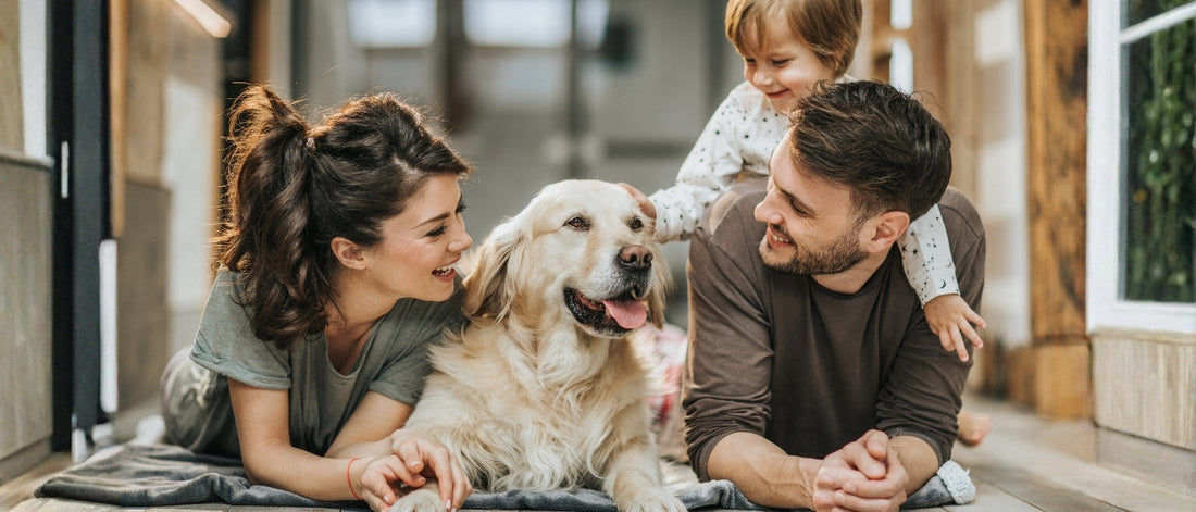 Cómo prevenir parásitos en tu mascota