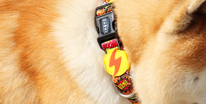 DASHI BOOM COLLAR LARGE