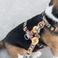 DASHI BOOM BACK HARNESS LARGE