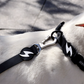 DASHI COLORFLEX BLACK COLLAR MEDIUM