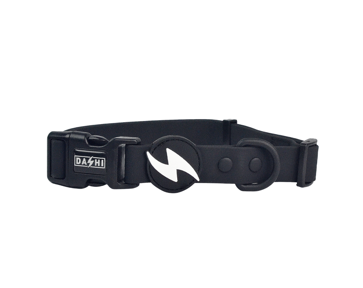 DASHI COLORFLEX BLACK COLLAR EXTRA SMALL