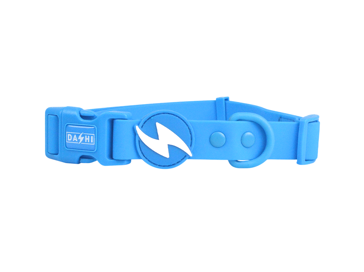 DASHI COLORFLEX BLUE COLLAR SMALL