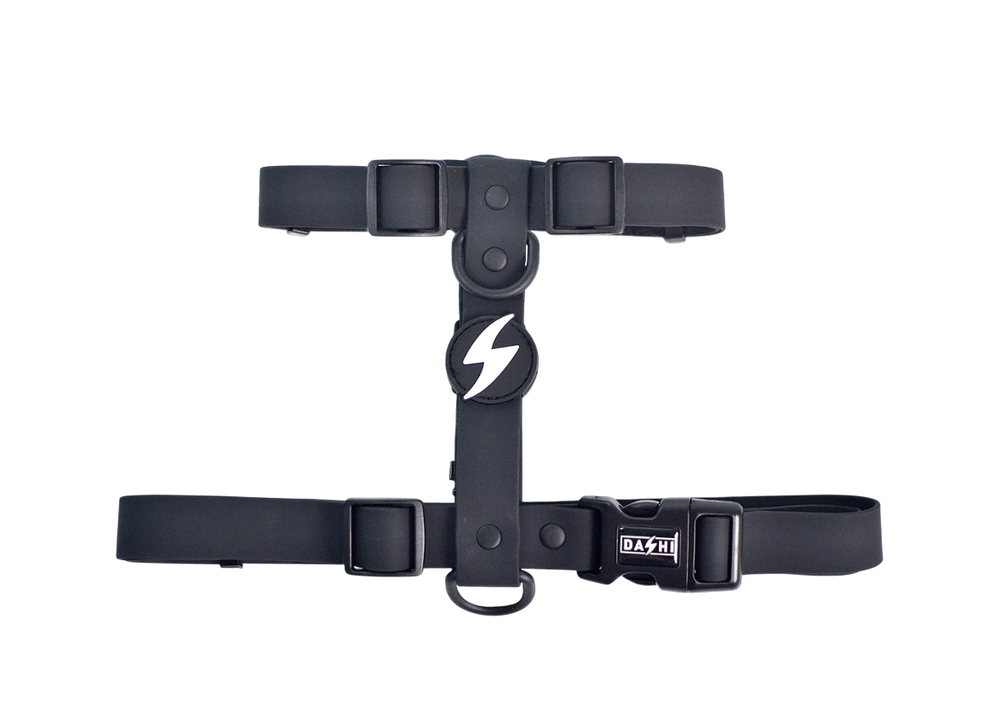DASHI COLORFLEX BLACK BACK HARNESS EXTRA SMALL