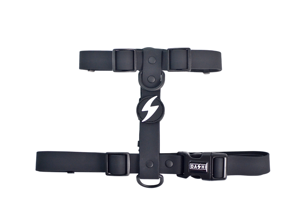 DASHI COLORFLEX BLACK BACK HARNESS EXTRA SMALL