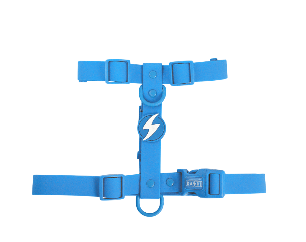DASHI COLORFLEX BLUE BACK HARNESS MEDIUM