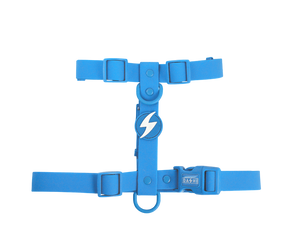DASHI COLORFLEX BLUE BACK HARNESS LARGE