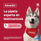 ADVANTIX PARA PERROS