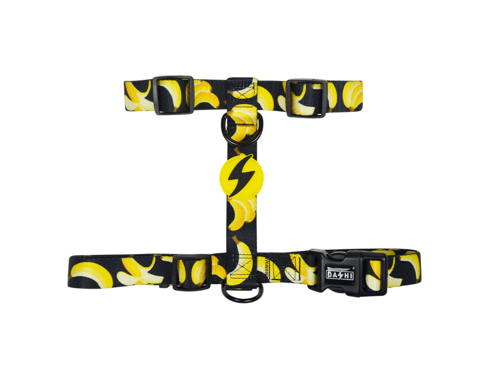 DASHI ECO BANANA BACK HARNESS SMALL