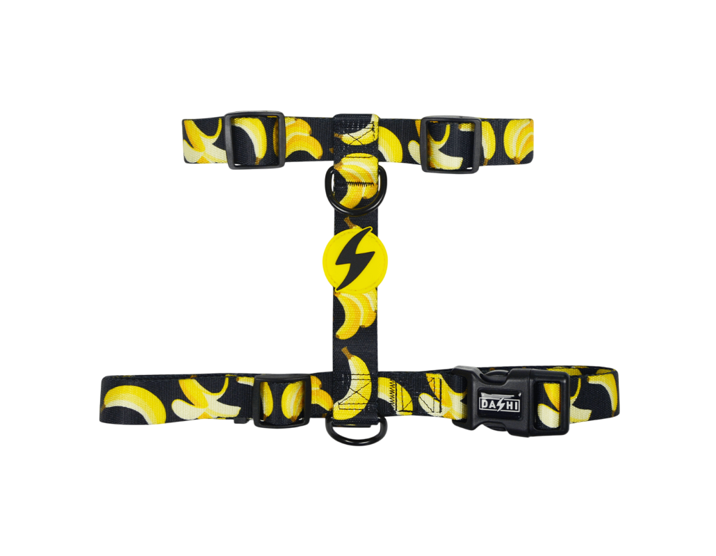 DASHI ECO BANANA BACK HARNESS LARGE