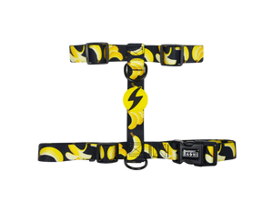 DASHI ECO BANANA BACK HARNESS EXTRA SMALL