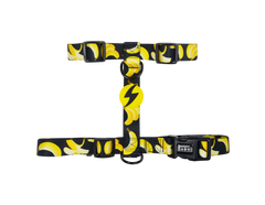 DASHI ECO BANANA BACK HARNESS EXTRA SMALL