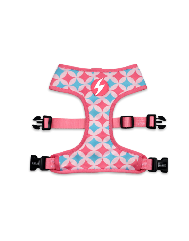 DASHI CORAL NEO MESH MEDIUM