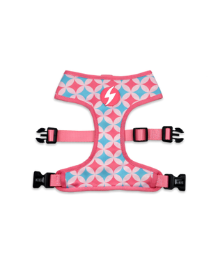 DASHI CORAL NEO MESH MEDIUM