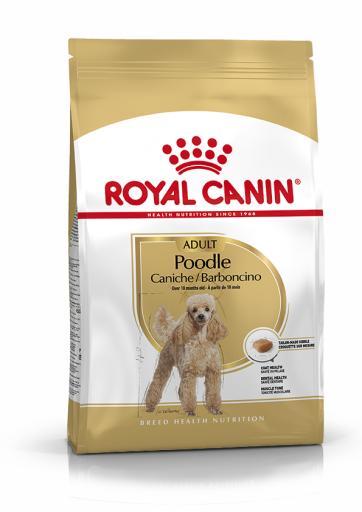 BHN CANICHE ADULTO