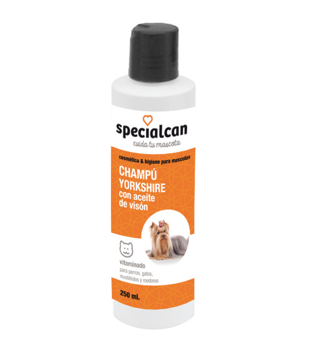 CHAMPU YORKSHIRE SPECIALCAN