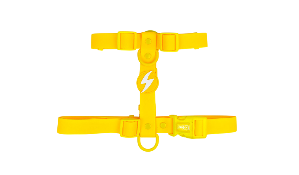 DASHI COLORFLEX YELLLOW BACK HARNESS EXTRA SMALL