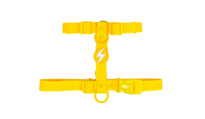 DASHI COLORFLEX YELLLOW BACK HARNESS LARGE