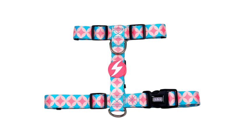 DASHI CORAL BACK HARNESS LARGE