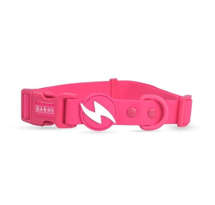 DASHI COLORFLEX PINK COLLAR MEDIUM