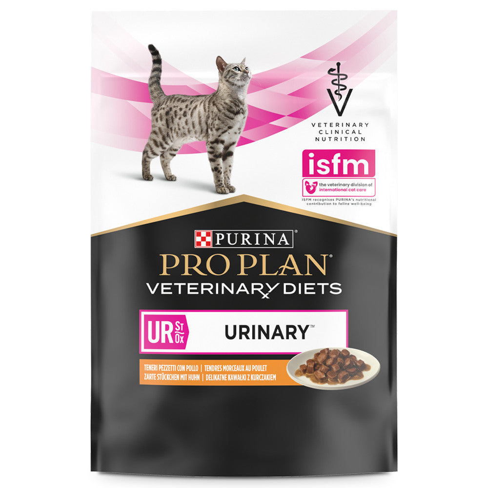 PVD GATO HUMEDO URINARY