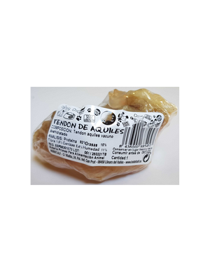 TENDON AQUILES