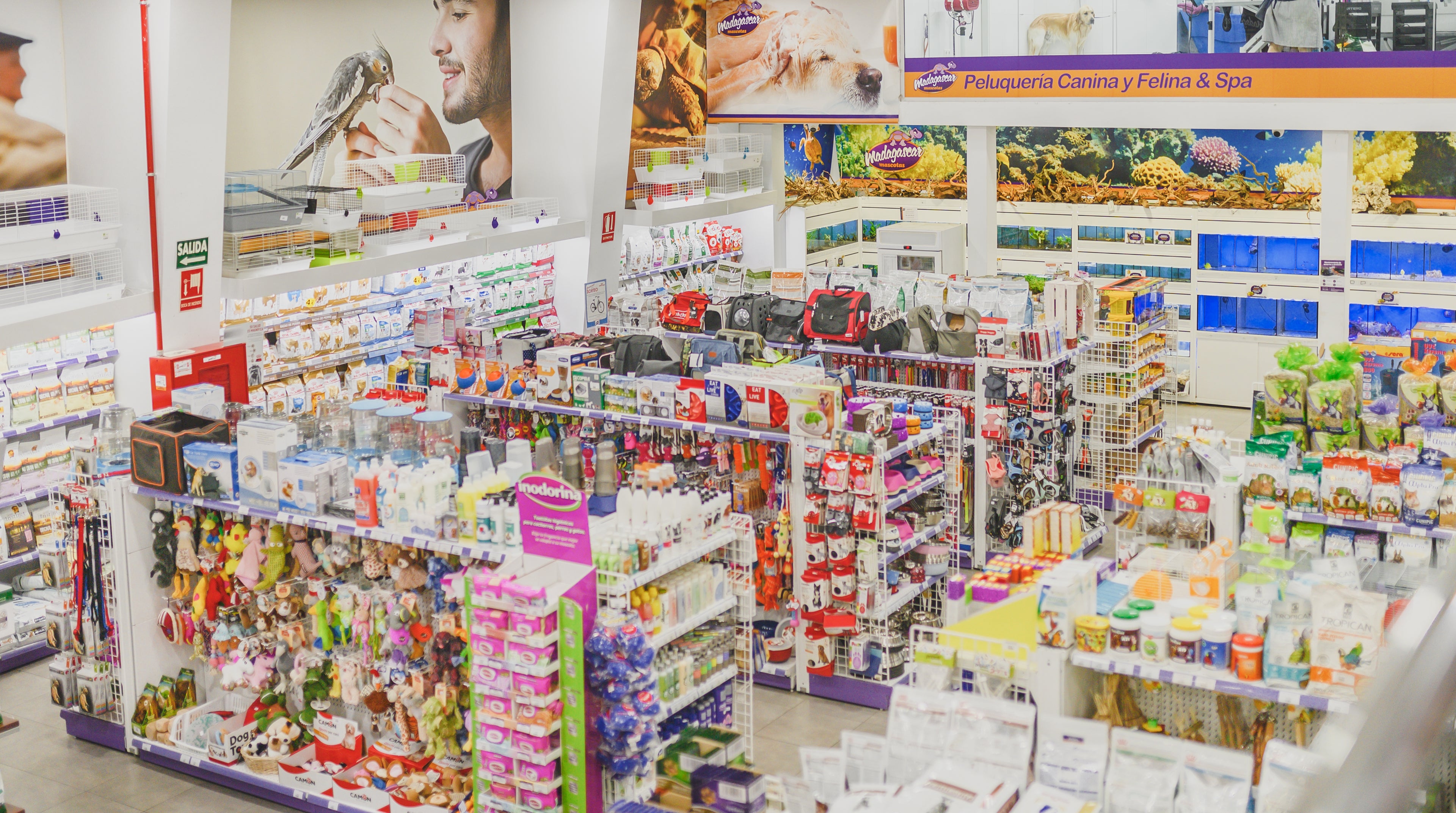 tienda_madagascar_alicante_centro