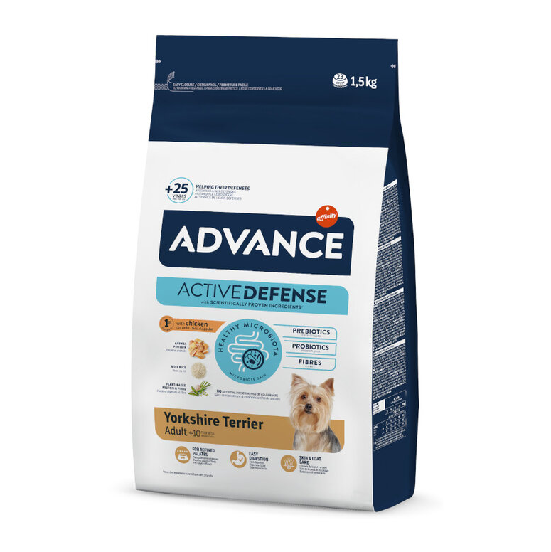 ADVANCE YORKSHIRE TERRIER
