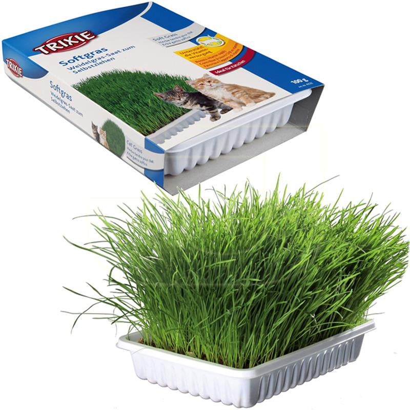 BANDEJA BIO HIERBA GATOS 100GR