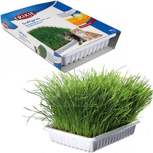 BANDEJA BIO HIERBA GATOS 100GR