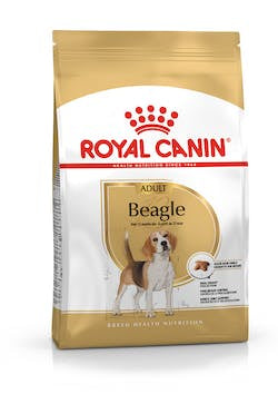 BHN BEAGLE ADULTO