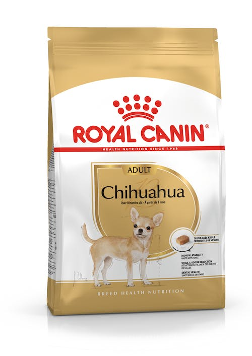 BHN CHIHUAHUA ADULT