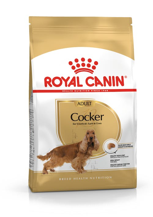 BHN COCKER ADULTO
