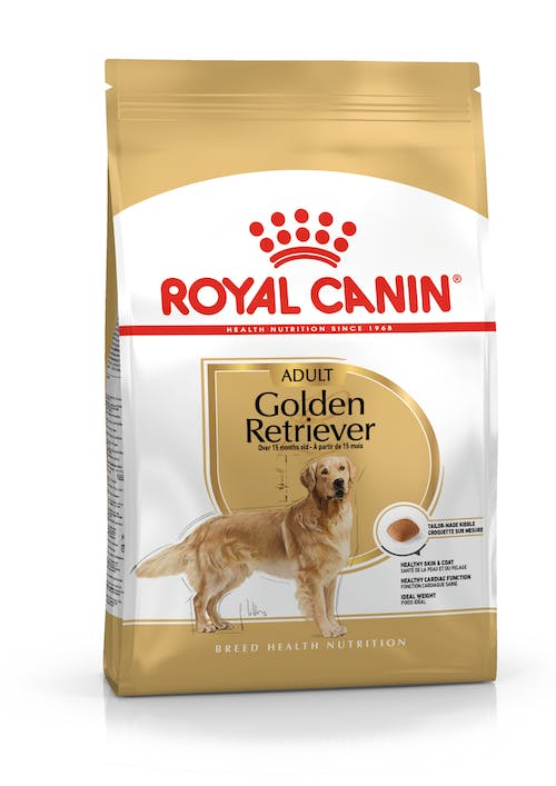 BHN GOLDEN RETRIEVER ADULTO