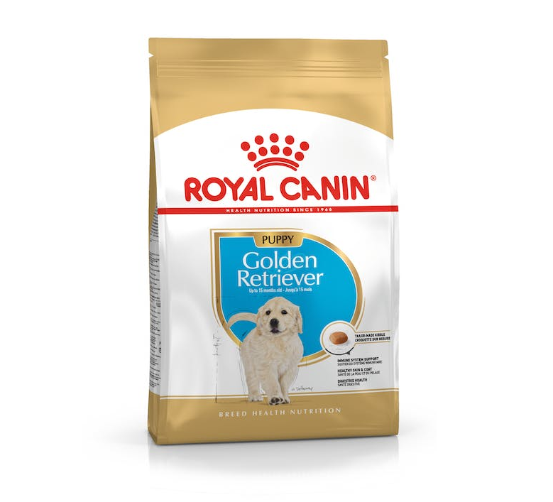BHN GOLDEN RETRIEVER JUNIOR