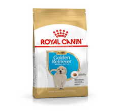BHN GOLDEN RETRIEVER JUNIOR