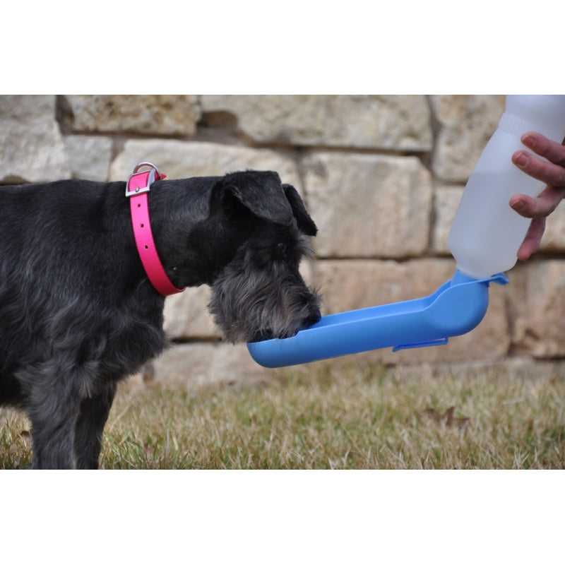 BOTELLA DE VIAJE 250 ML