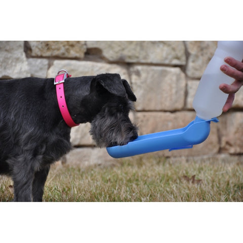 BOTELLA DE VIAJE 250 ML