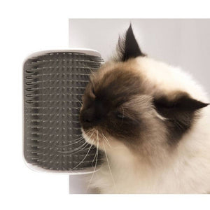 CATIT SENSES 2.0 CEPILLO ELEVADO CON CATNIP