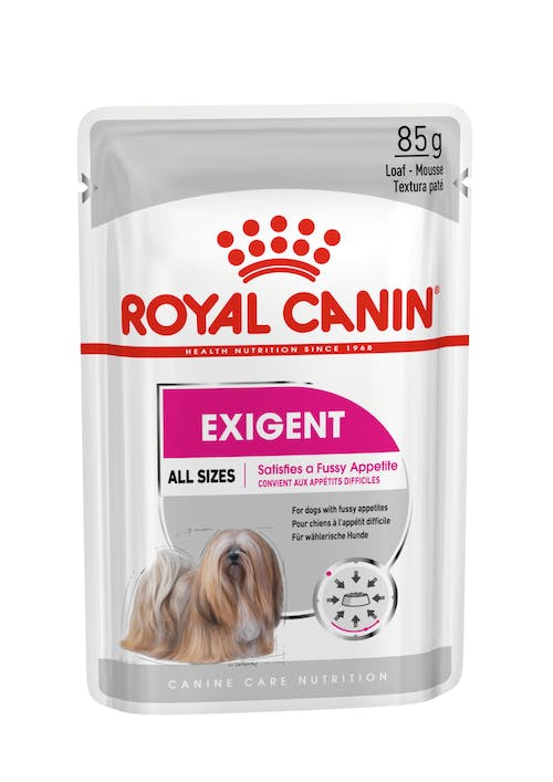 CCN EXIGENT 85GR