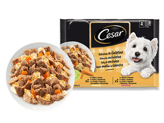 CESAR SELEC.GELAT. POLLO/ZANAH/BU 4X100GR