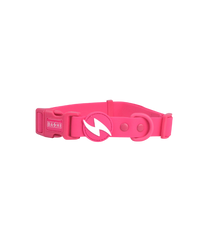 DASHI COLORFLEX PINK COLLAR SMALL