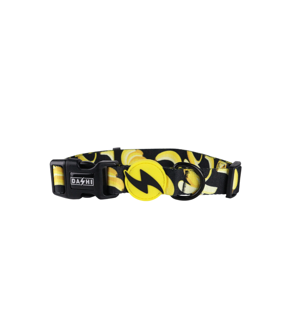 DASHI ECO BANANA COLLAR MEDIUM