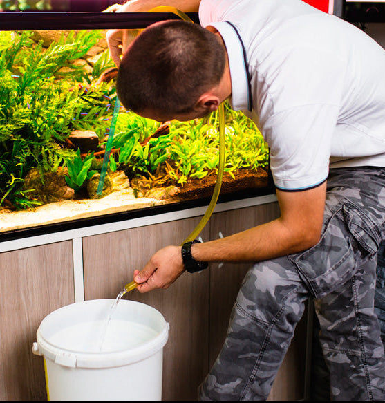 como_limpiar_un_acuario