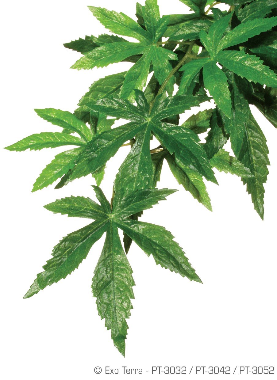 EXO TERRA PLANTA DE SEDA ABULITON PEQ.