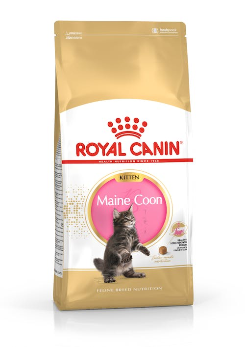 FBN KITTEN MAINE COON 10KG