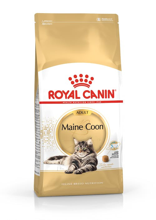 FBN MAINE COON 4KG