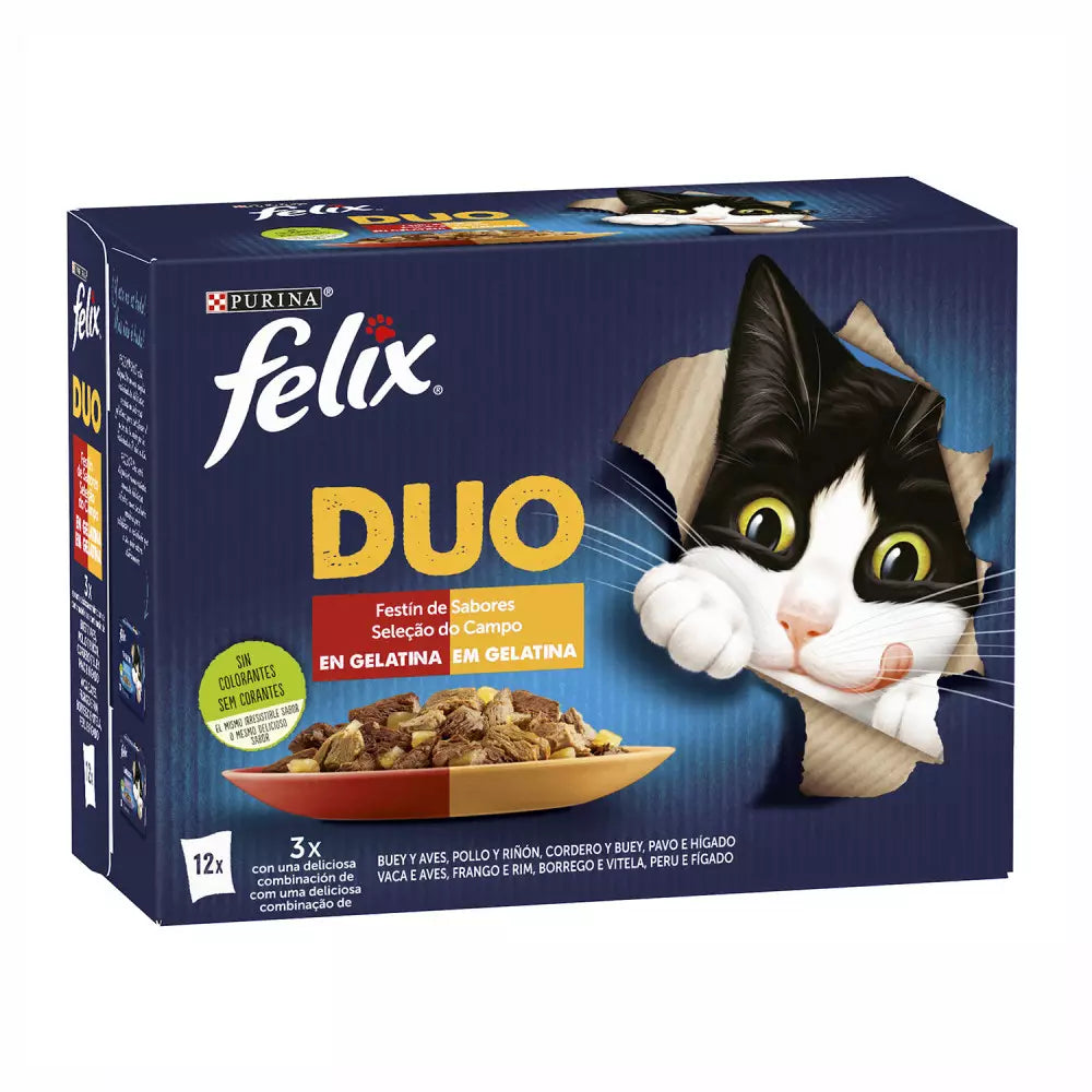FELIX DUO GELAT. 12X85GR