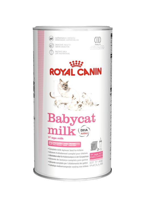 FHN BABYCAT MILK 300GR