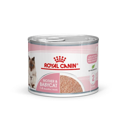 FHN WET BABYCAT INSTINCTIVE 195GR