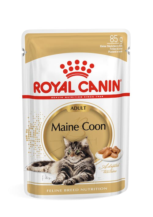 FHN WET MAINE COON 85GR